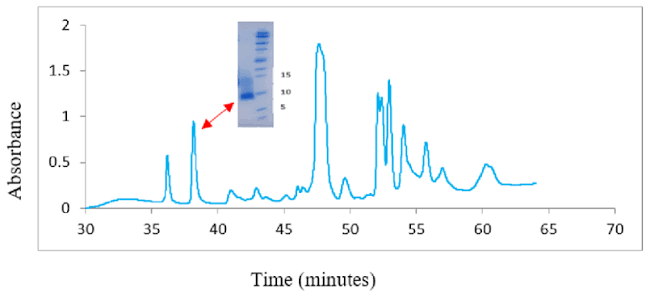 Independent HPLC purity report verifying 99 percent batch documentation standards for alluvi retatrutide